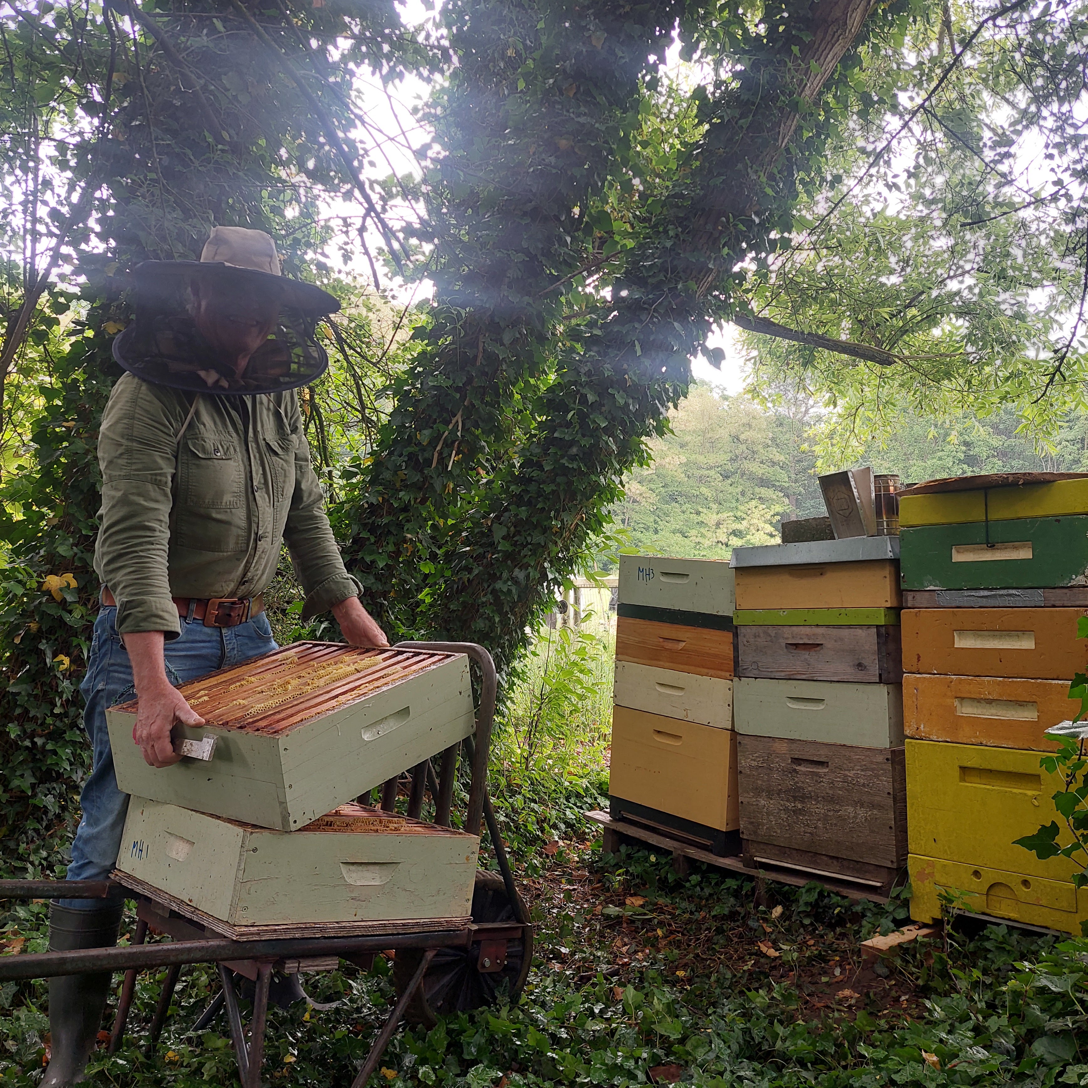 Oprichting van de coöperatie