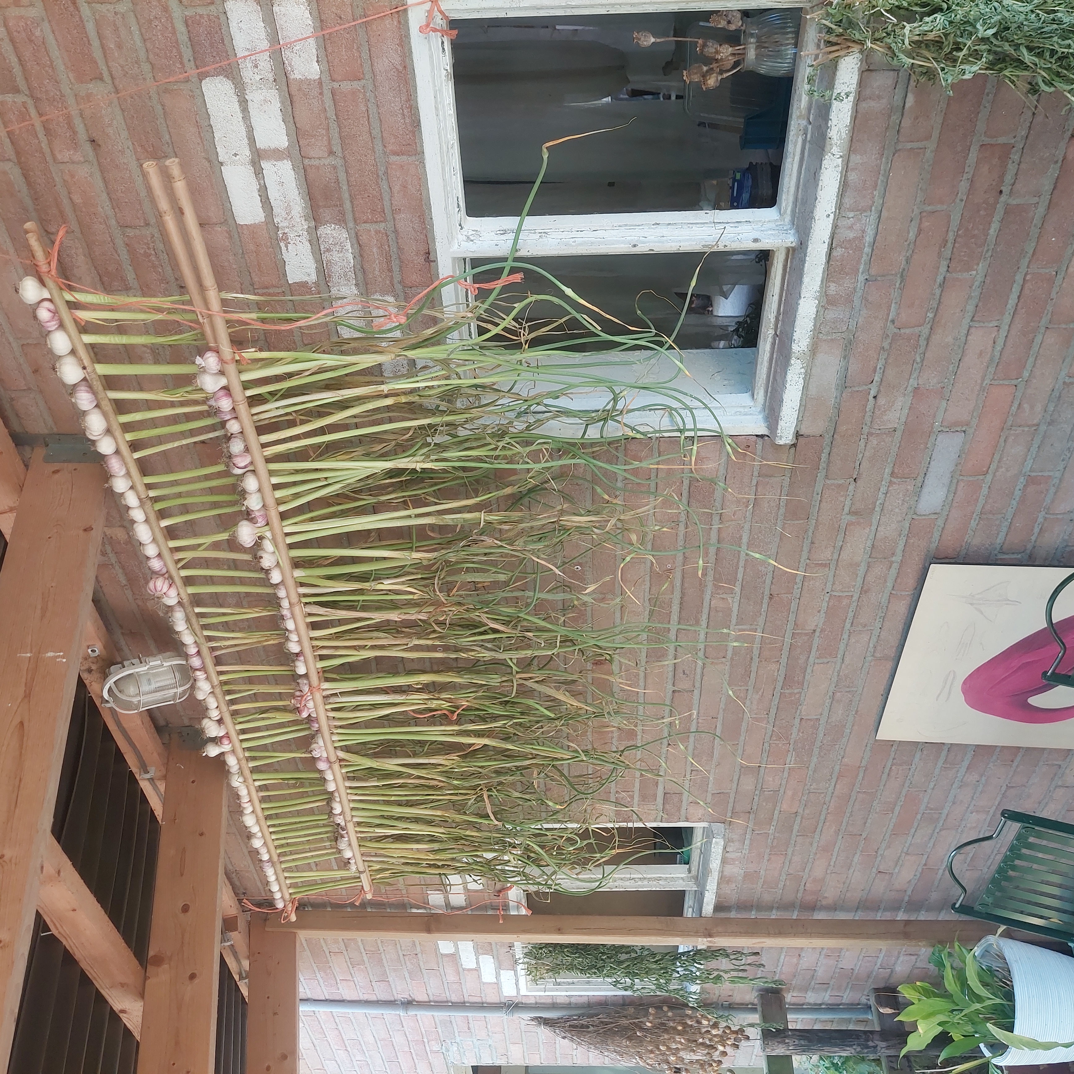 De erfzone met pizza-kas