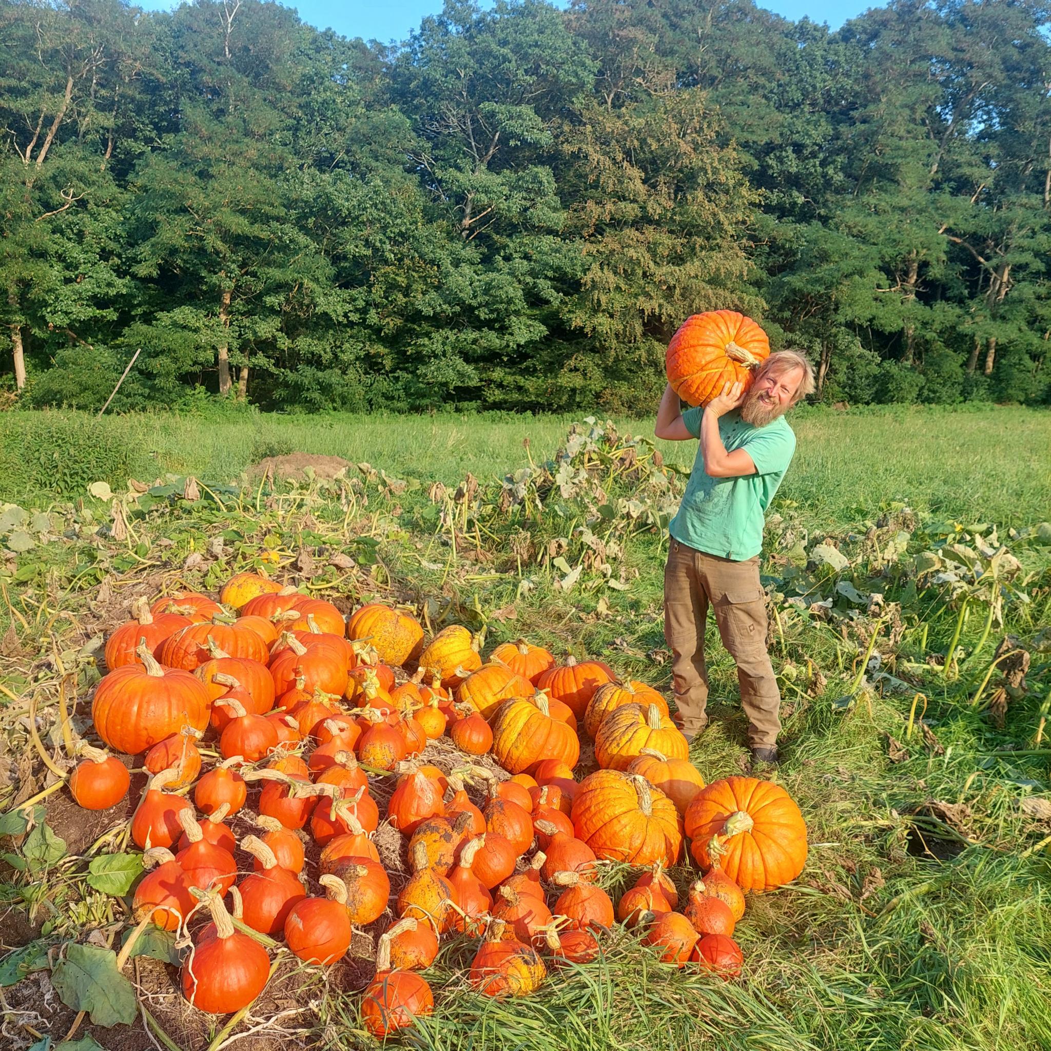 De eerste oogst in 2022