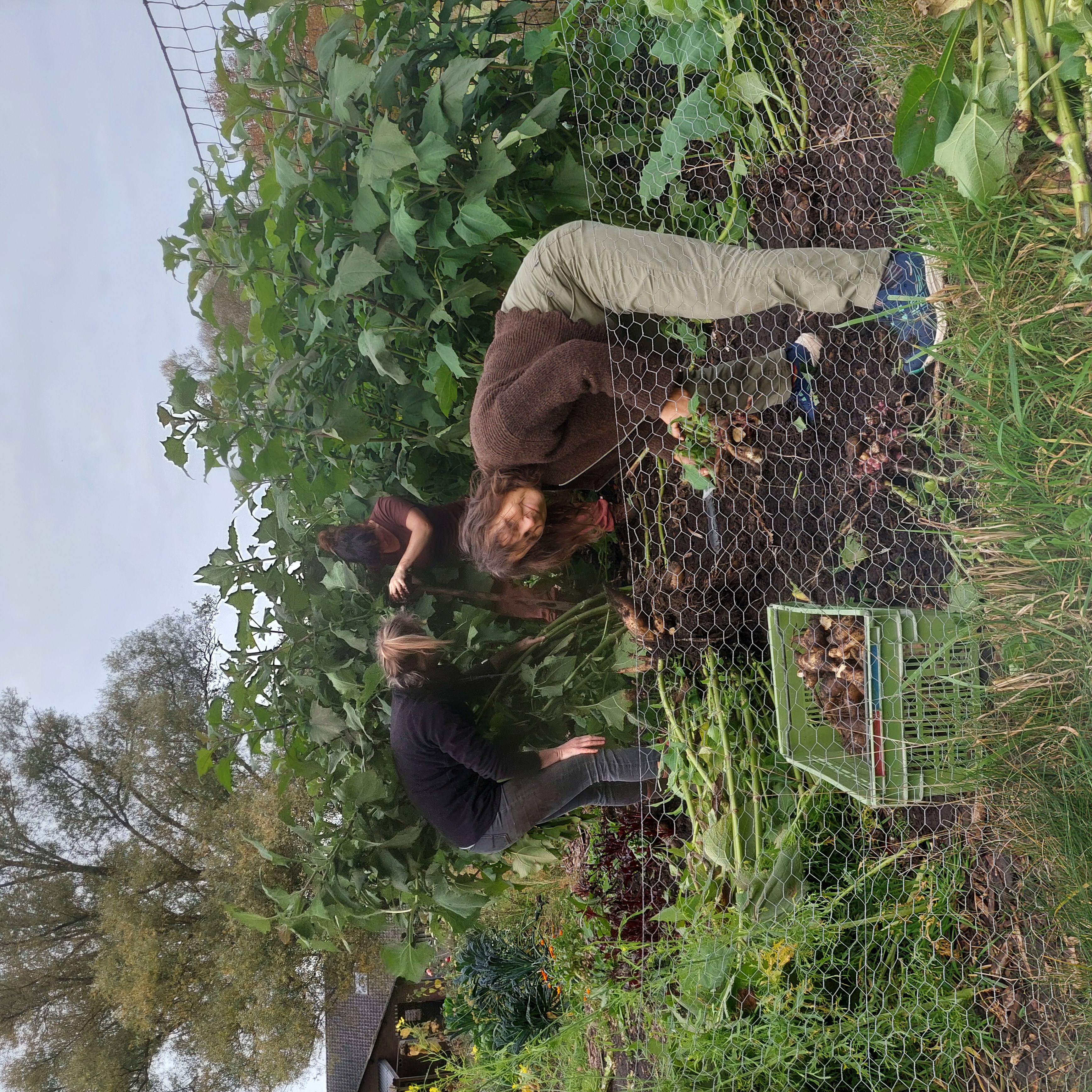 Vrijwilligers werken samen in de moestuin